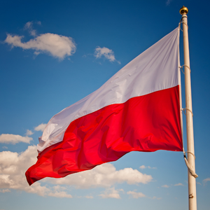 Żywy symbol Polski Walczącej – stwórzmy go razem