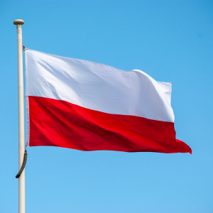 Święto Niepodległości w Tarnobrzegu