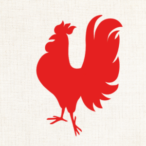 Podkarpacki Konkurs Literatura i Dzieci – regulamin